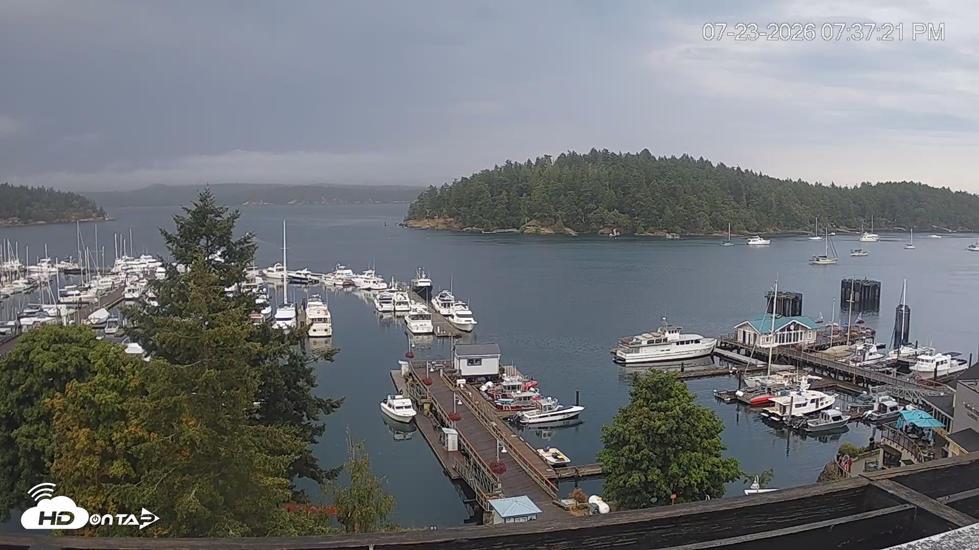 Snapshot of Friday Harbor - San Juan Island Live Webcam taken Jul 23, 2026, 7:38pm PDT