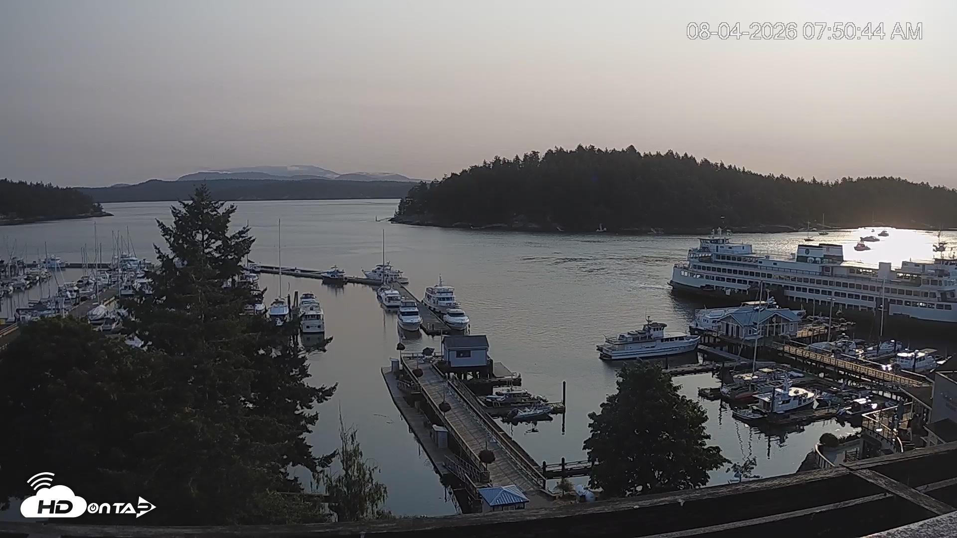 Snapshot of Friday Harbor - San Juan Island Live Webcam taken Aug 4, 2026, 7:51am PDT