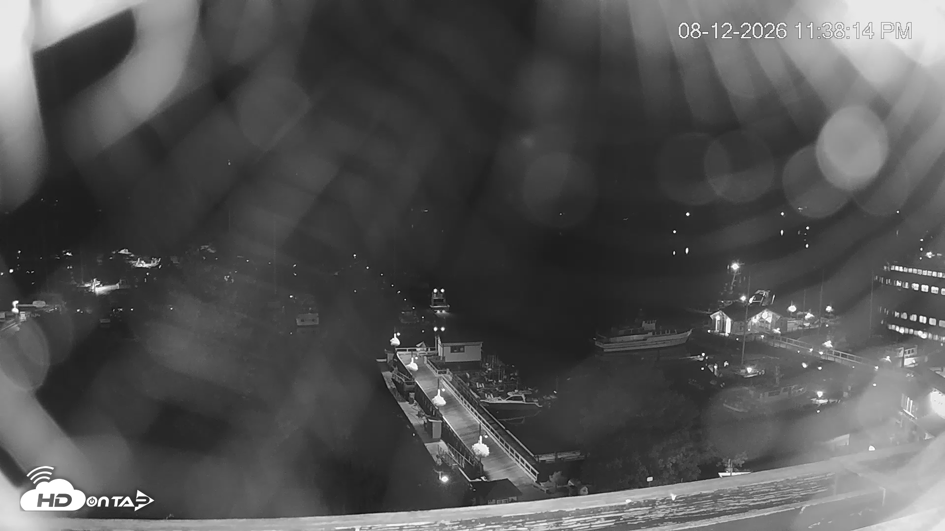 Snapshot of Friday Harbor - San Juan Island Live Webcam taken Aug 12, 2026, 11:38pm PDT