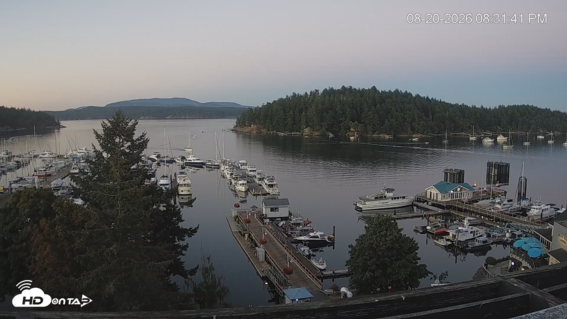 Snapshot of Friday Harbor - San Juan Island Live Webcam taken Aug 20, 2026, 8:32pm PDT