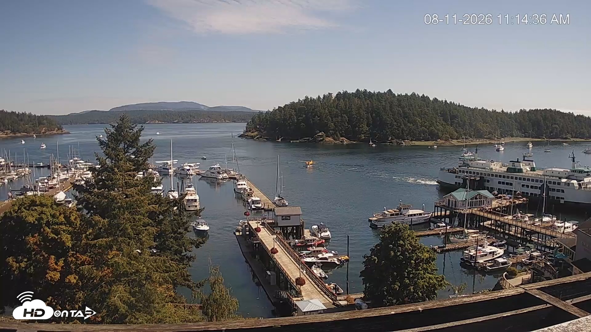 Snapshot of Friday Harbor - San Juan Island Live Webcam taken Aug 11, 2026, 11:15am PDT
