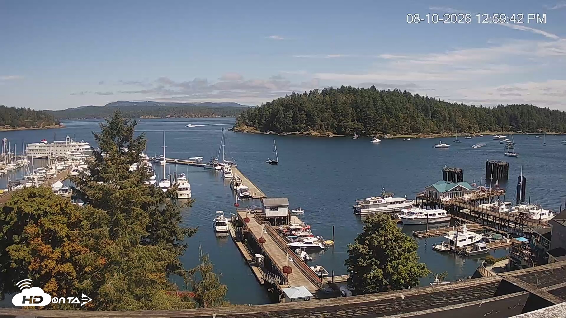 Snapshot of Friday Harbor - San Juan Island Live Webcam taken Aug 10, 2026, 1:00pm PDT