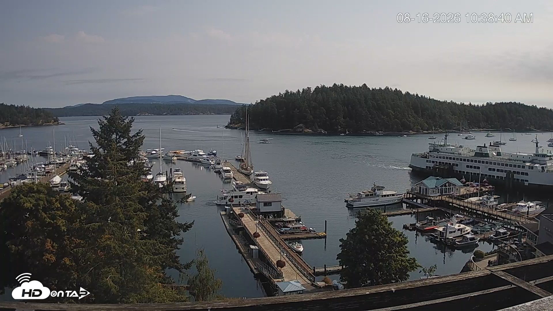 Snapshot of Friday Harbor - San Juan Island Live Webcam taken Aug 16, 2026, 10:39am PDT