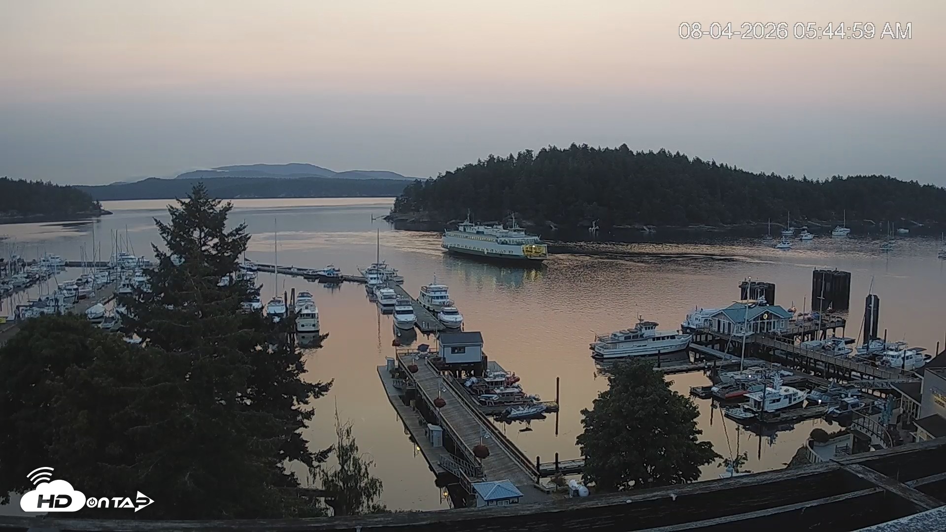Snapshot of Friday Harbor - San Juan Island Live Webcam taken Aug 4, 2026, 5:46am PDT