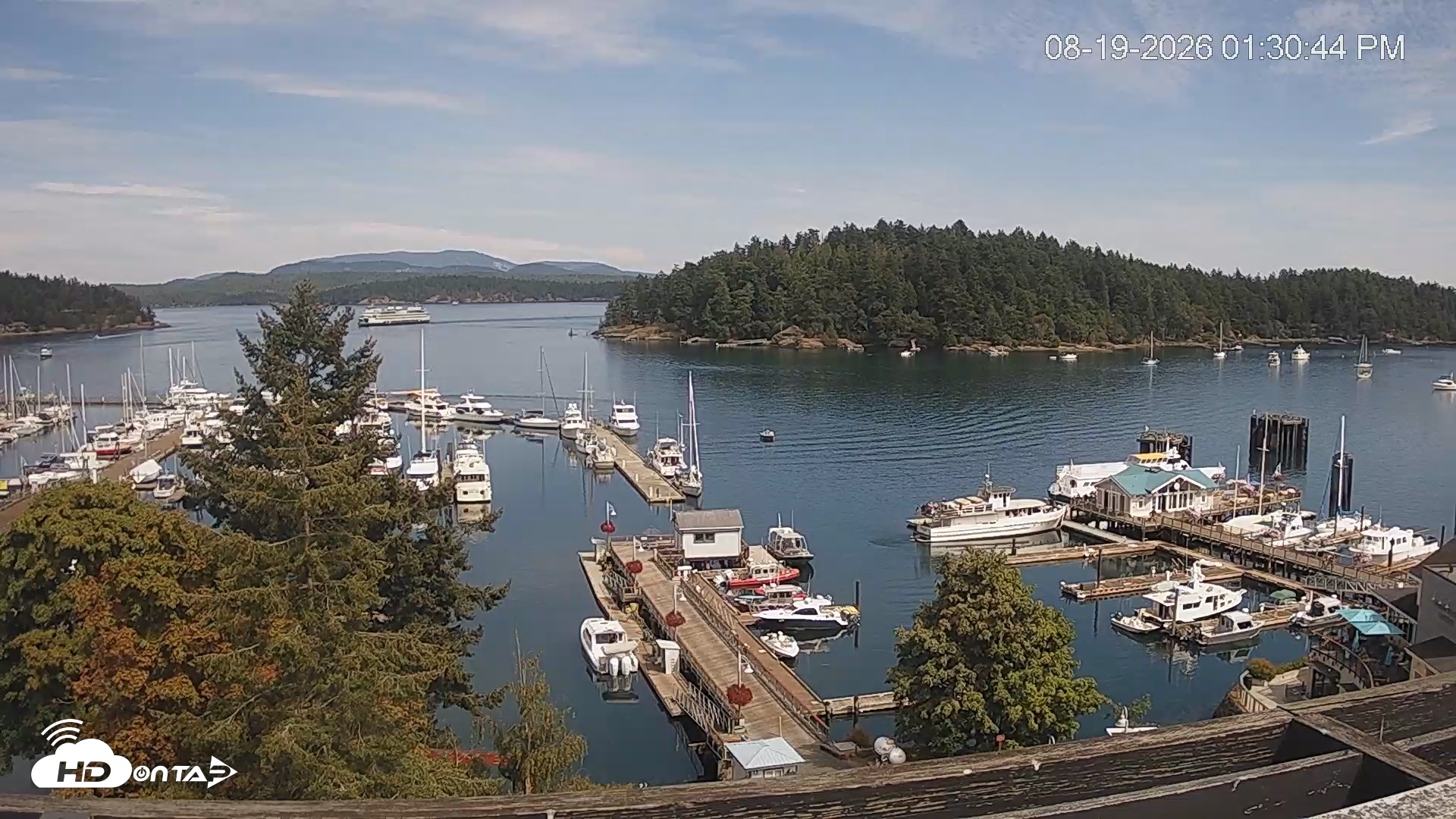 Snapshot of Friday Harbor - San Juan Island Live Webcam taken Aug 19, 2026, 1:31pm PDT