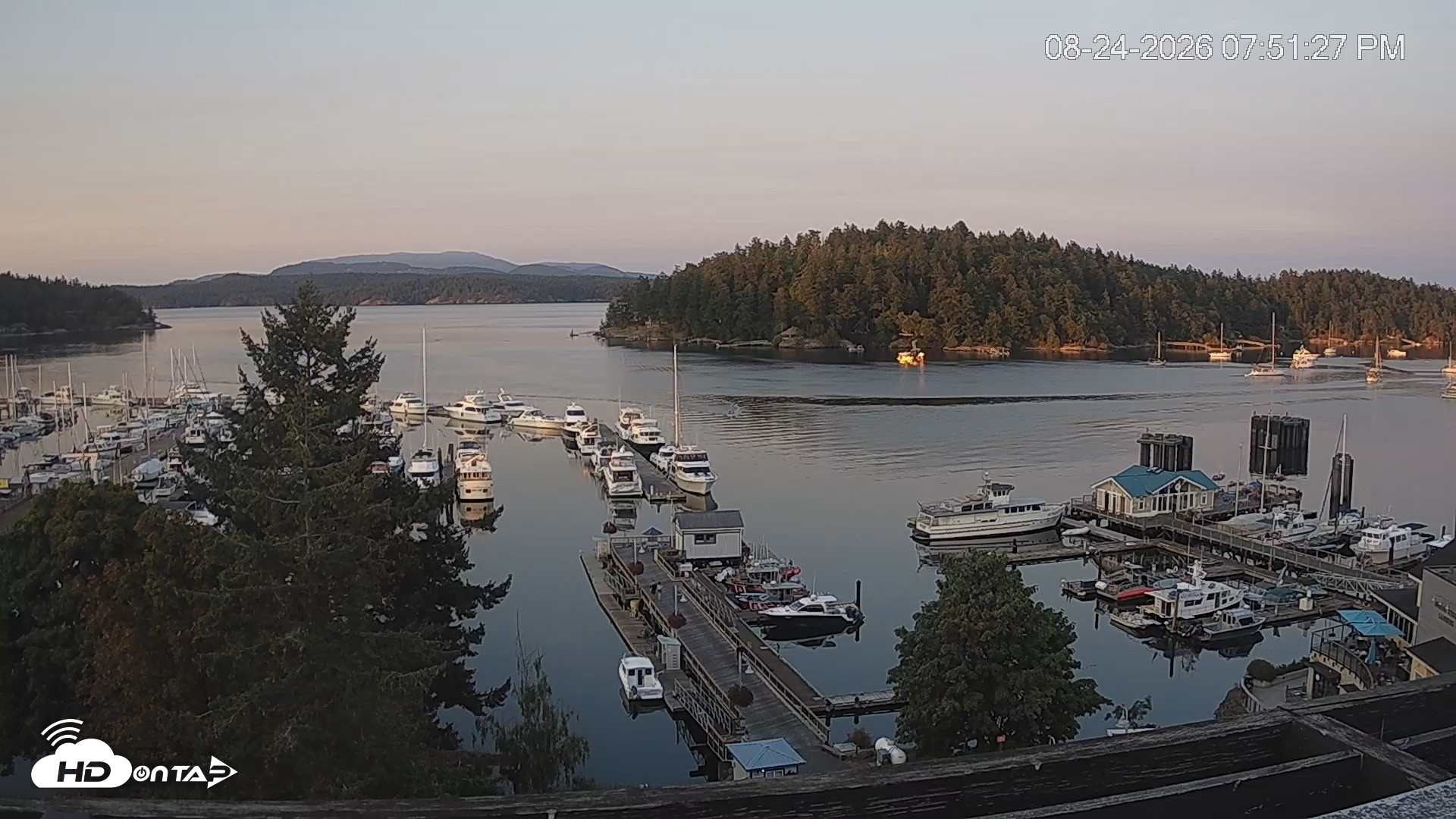 Snapshot of Friday Harbor - San Juan Island Live Webcam taken Aug 24, 2026, 7:52pm PDT