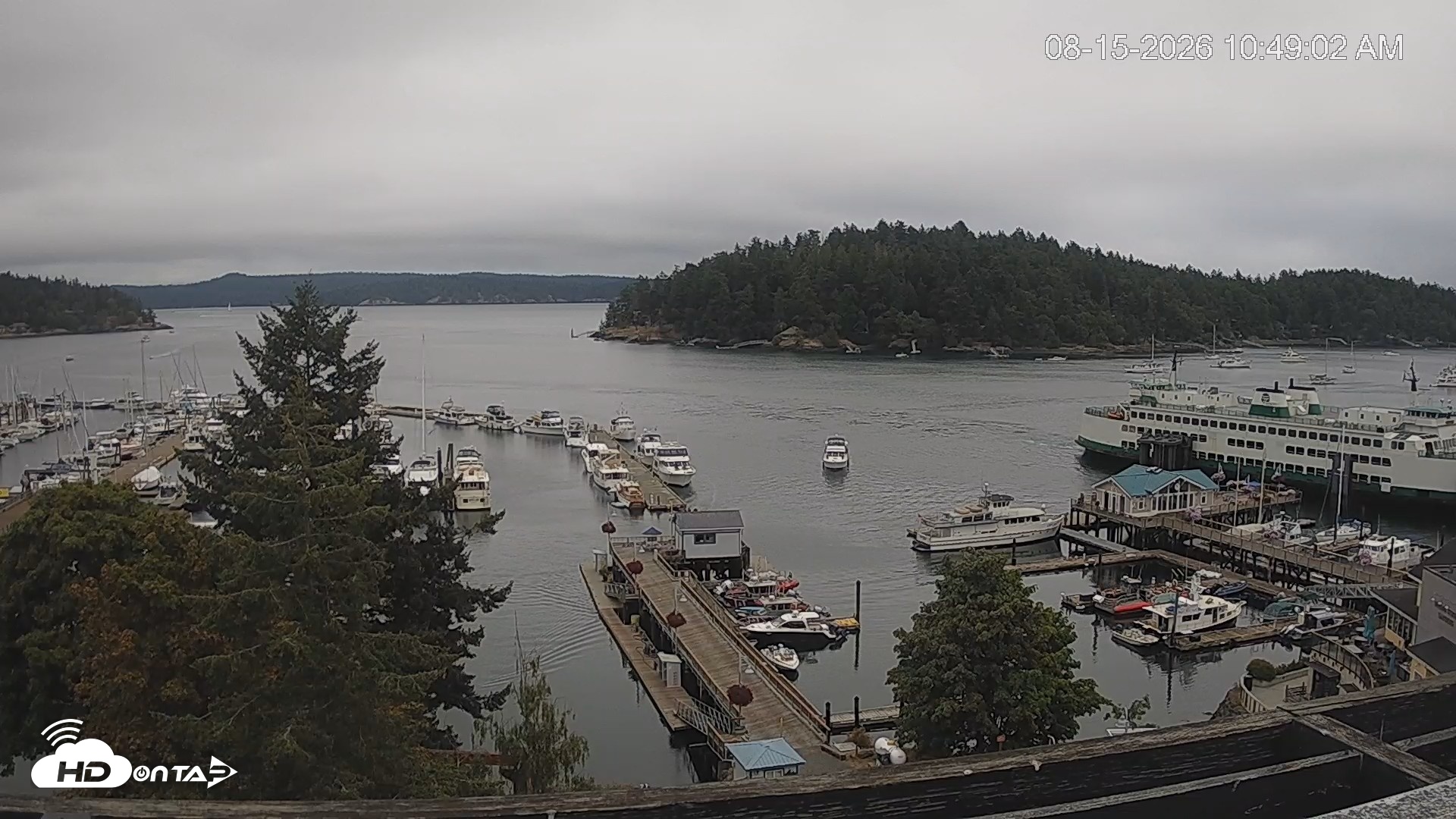 Snapshot of Friday Harbor - San Juan Island Live Webcam taken Aug 15, 2026, 10:49am PDT