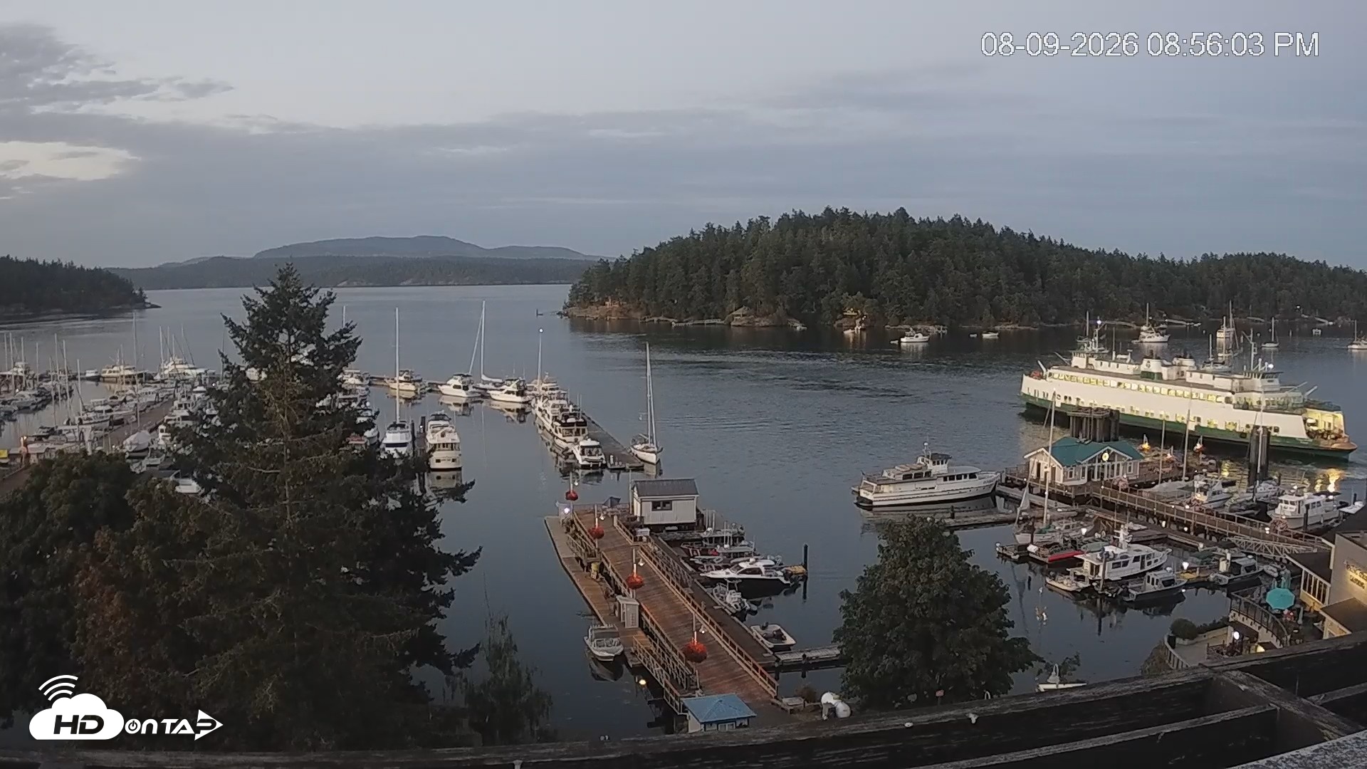 Snapshot of Friday Harbor - San Juan Island Live Webcam taken Aug 9, 2026, 8:57pm PDT
