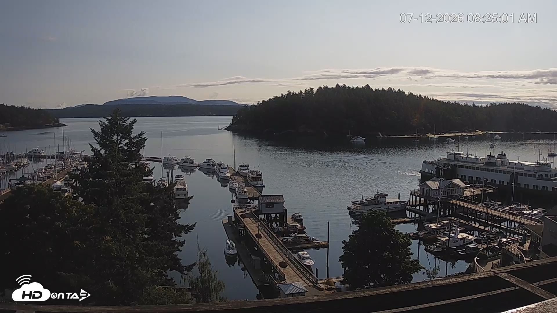 Snapshot of Friday Harbor - San Juan Island Live Webcam taken Jul 12, 2026, 8:25am PDT