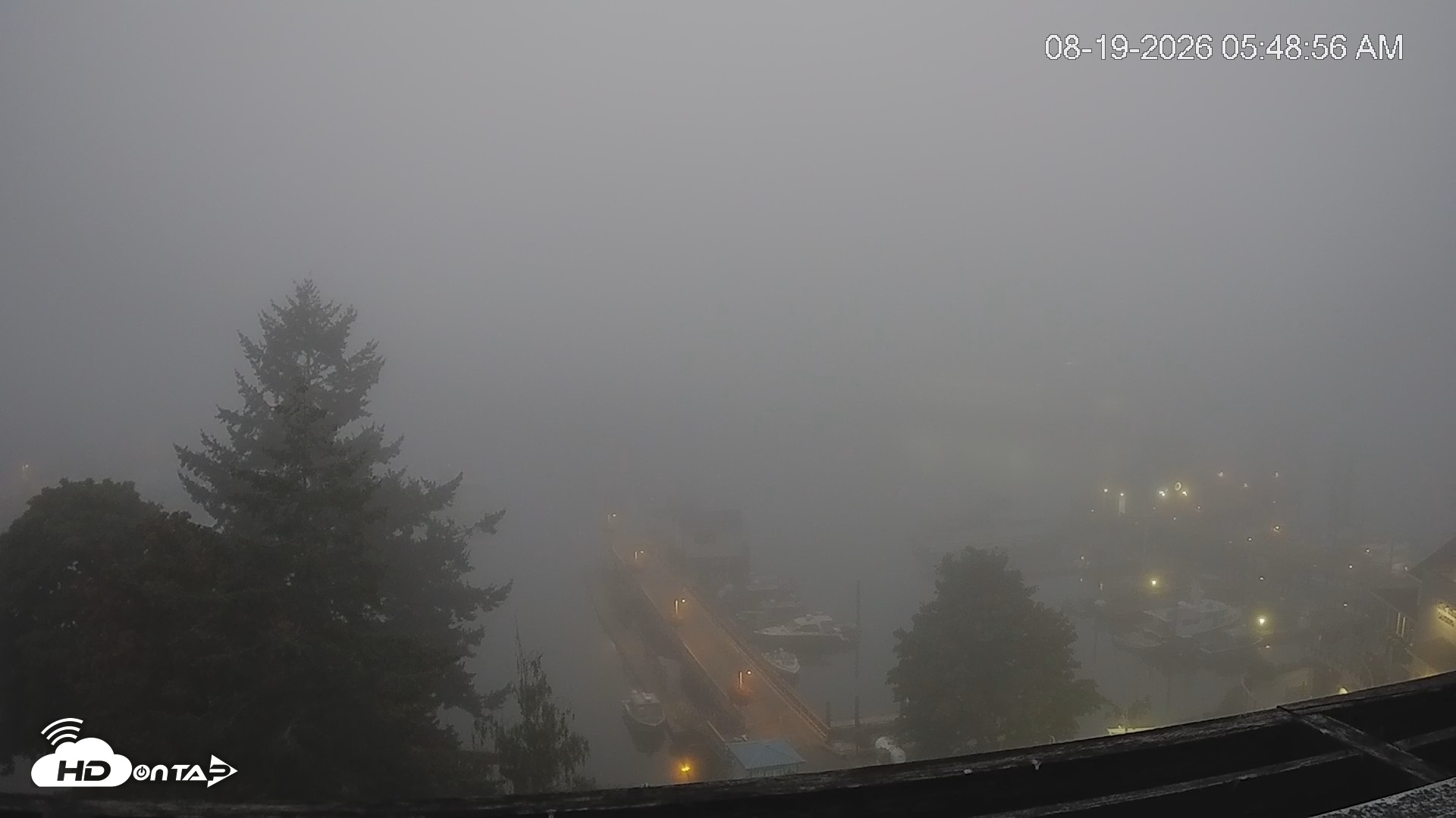 Snapshot of Friday Harbor - San Juan Island Live Webcam taken Aug 19, 2026, 5:49am PDT