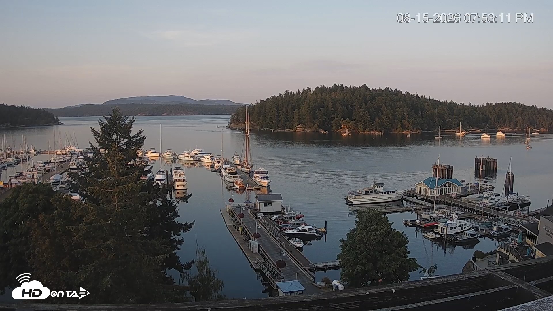 Snapshot of Friday Harbor - San Juan Island Live Webcam taken Aug 15, 2026, 7:54pm PDT