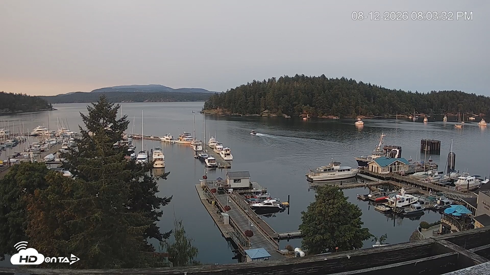 Snapshot of Friday Harbor - San Juan Island Live Webcam taken Aug 12, 2026, 8:04pm PDT