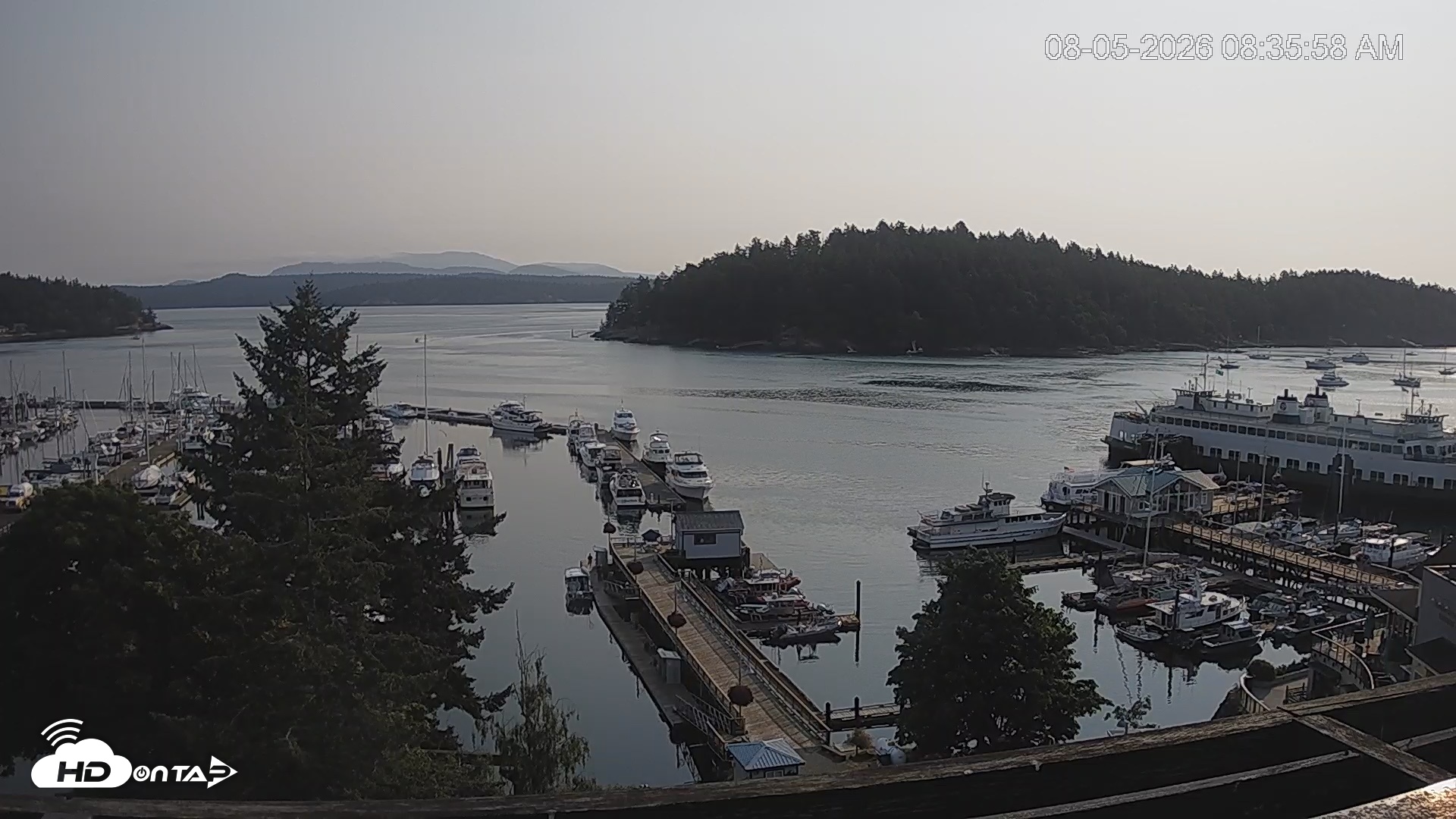 Snapshot of Friday Harbor - San Juan Island Live Webcam taken Aug 5, 2026, 8:36am PDT