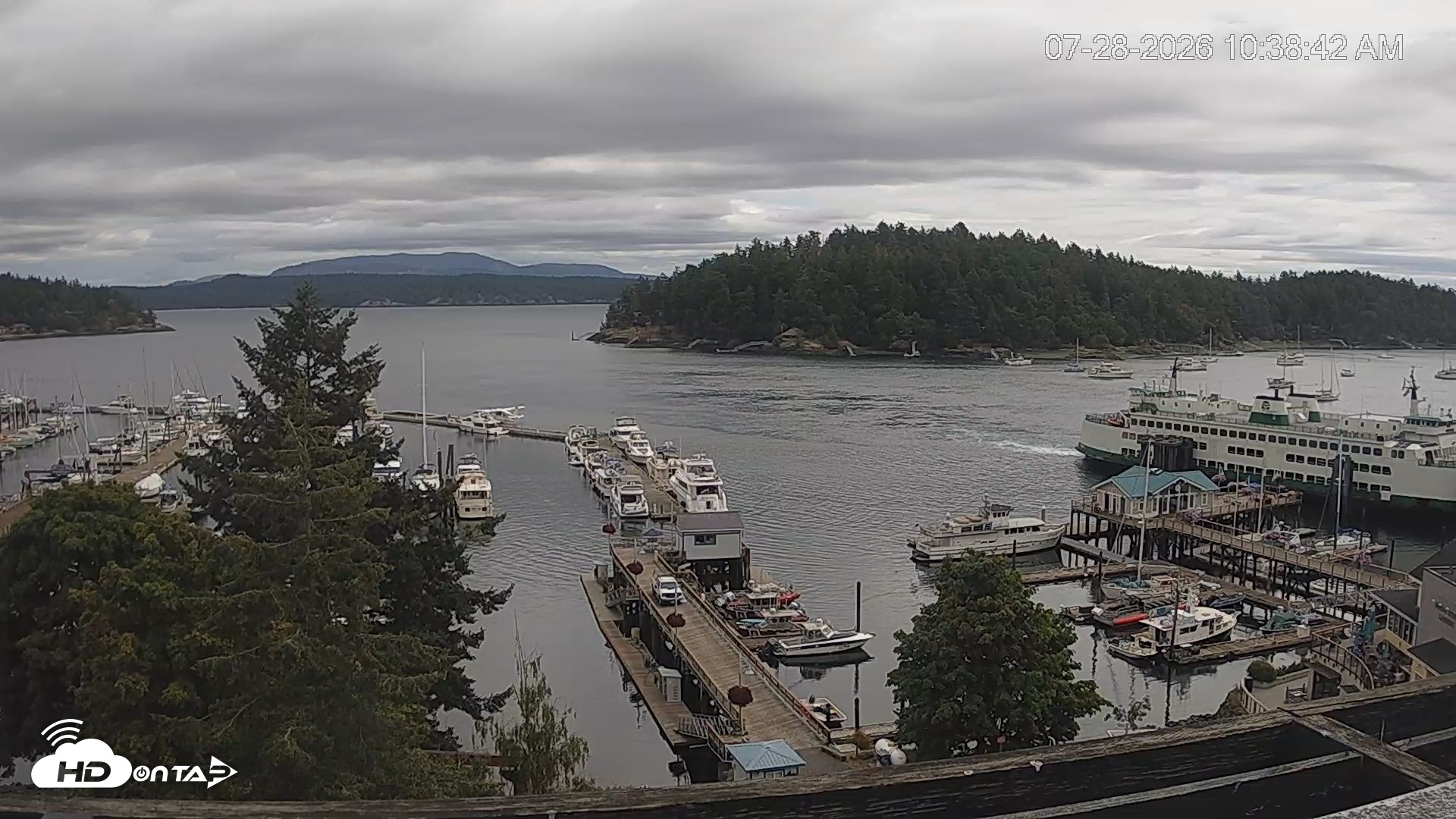 Snapshot of Friday Harbor - San Juan Island Live Webcam taken Jul 28, 2026, 10:39am PDT