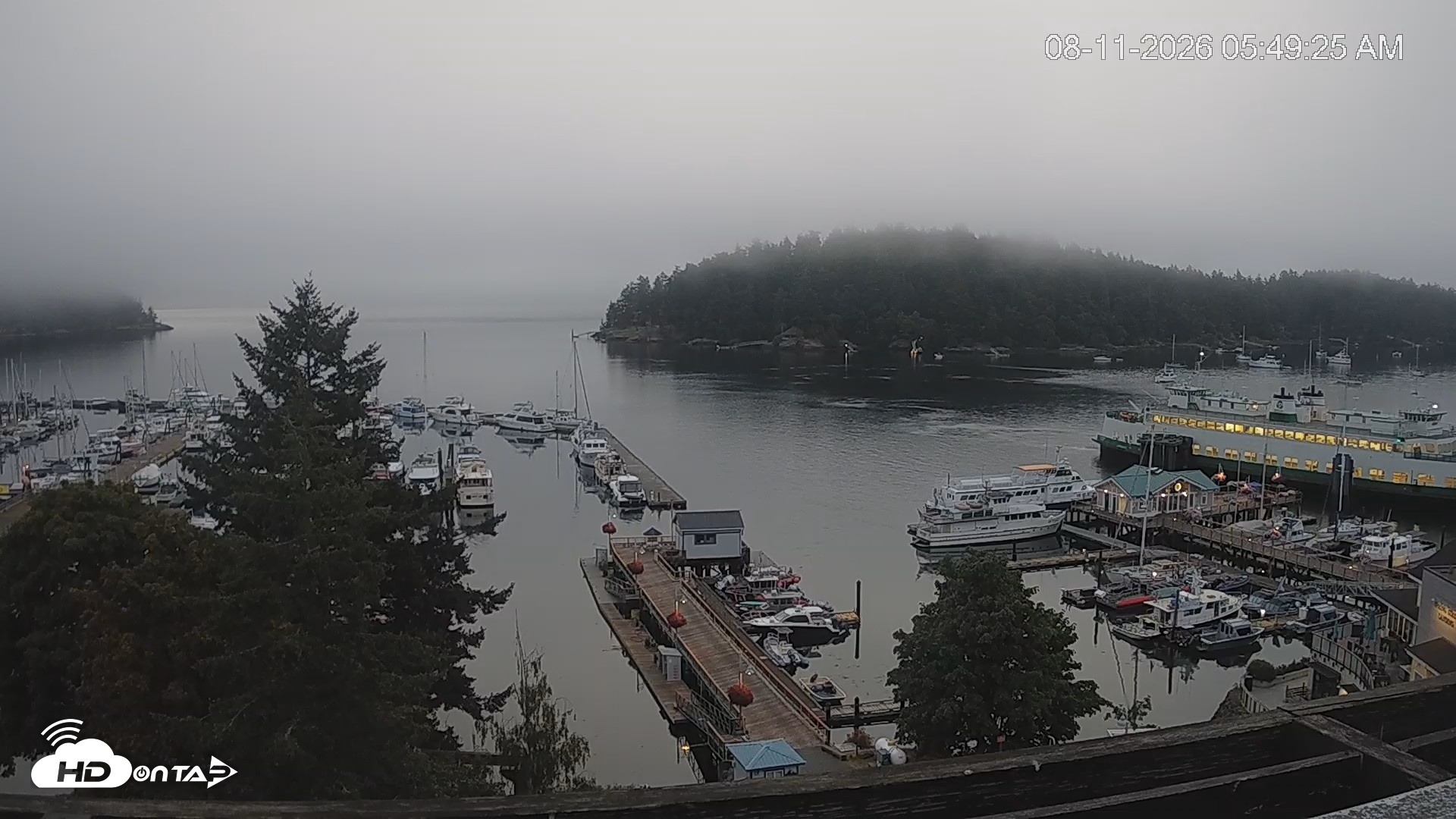 Snapshot of Friday Harbor - San Juan Island Live Webcam taken Aug 11, 2026, 5:50am PDT