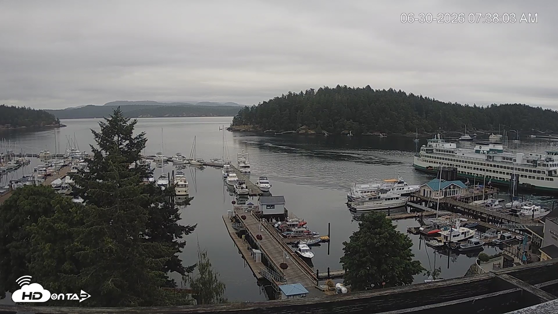 Snapshot of Friday Harbor - San Juan Island Live Webcam taken Jun 30, 2026, 7:38am PDT