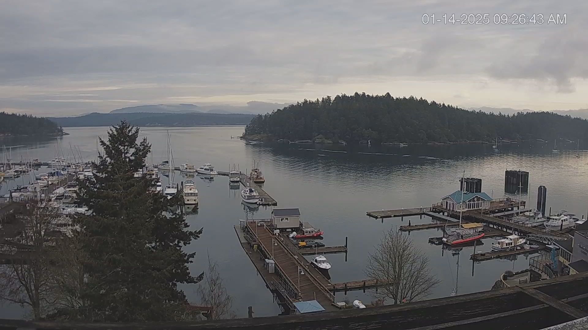Snapshot of Friday Harbor - San Juan Island Live Webcam taken Jan 14, 2025, 9:27am PST