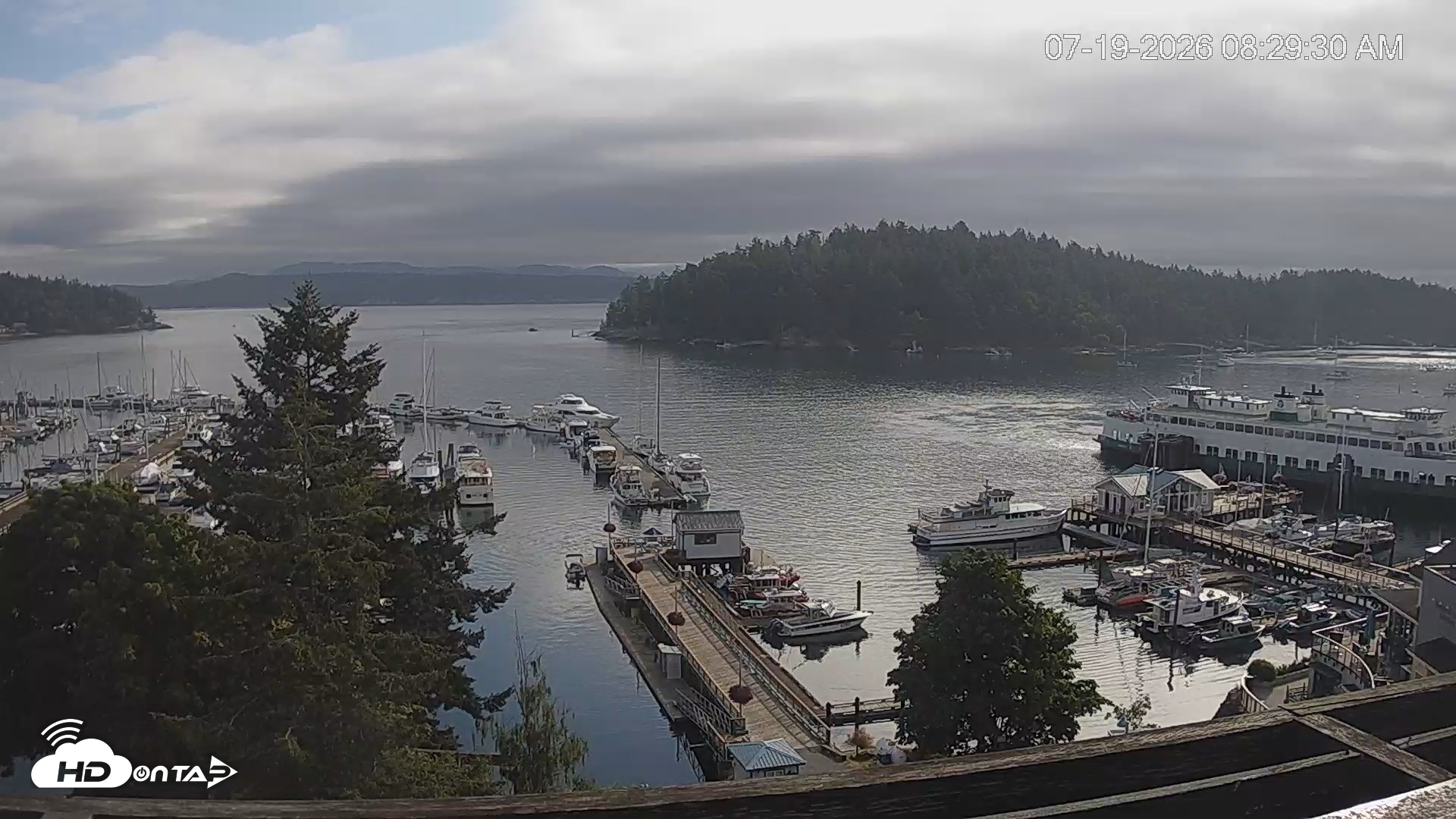 Snapshot of Friday Harbor - San Juan Island Live Webcam taken Jul 19, 2026, 8:30am PDT