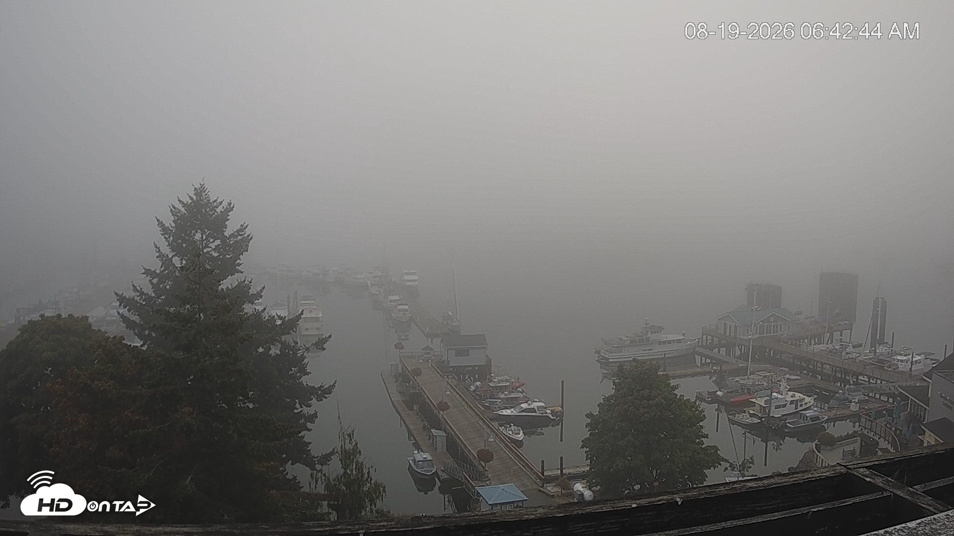 Snapshot of Friday Harbor - San Juan Island Live Webcam taken Aug 19, 2026, 6:43am PDT