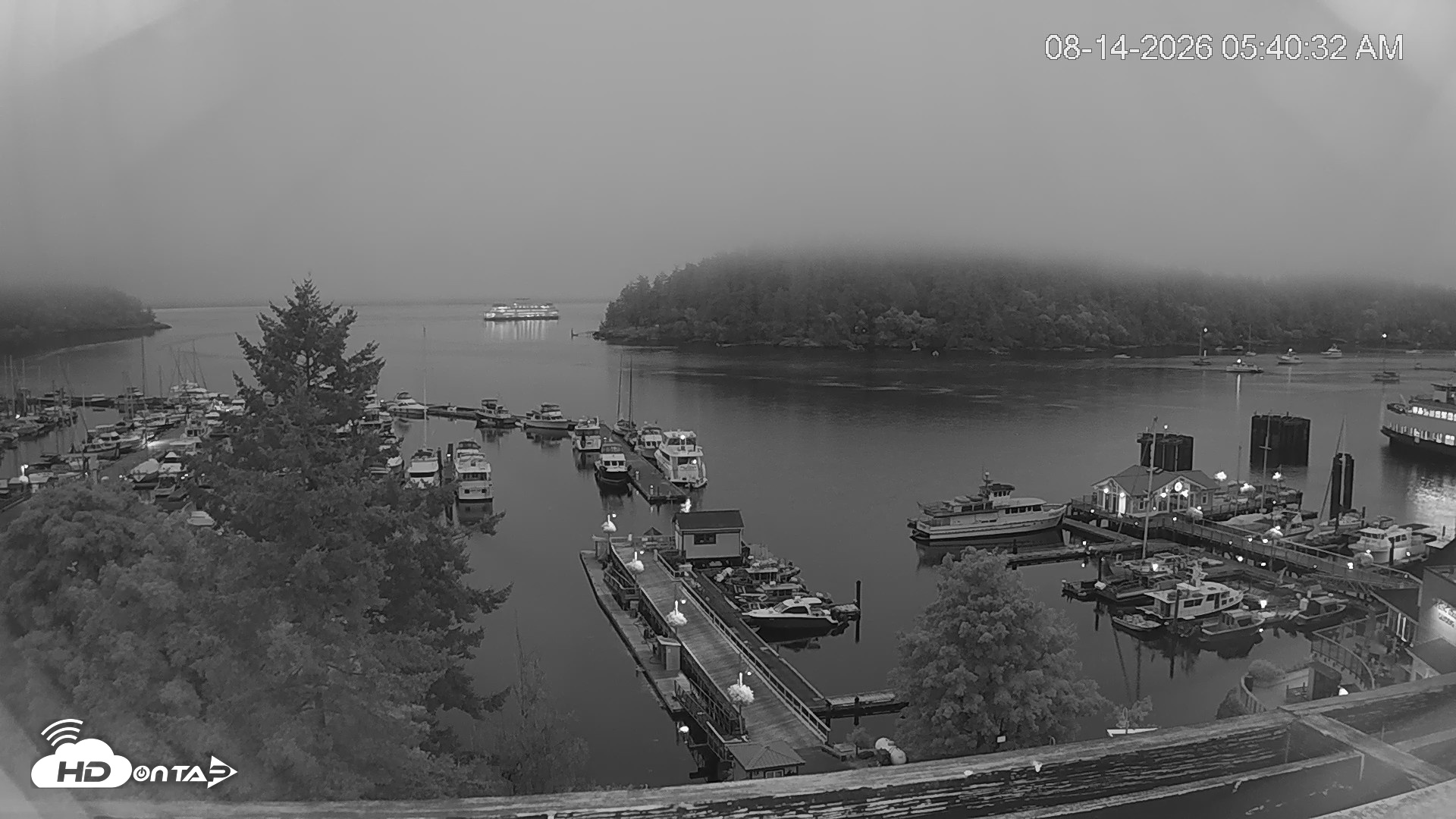 Snapshot of Friday Harbor - San Juan Island Live Webcam taken Aug 14, 2026, 5:41am PDT