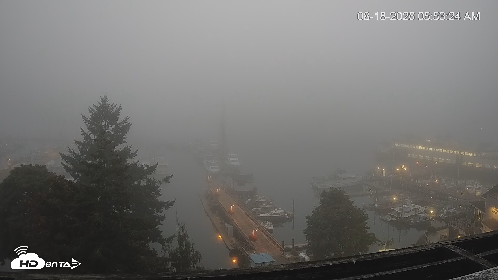 Snapshot of Friday Harbor - San Juan Island Live Webcam taken Aug 18, 2026, 5:54am PDT