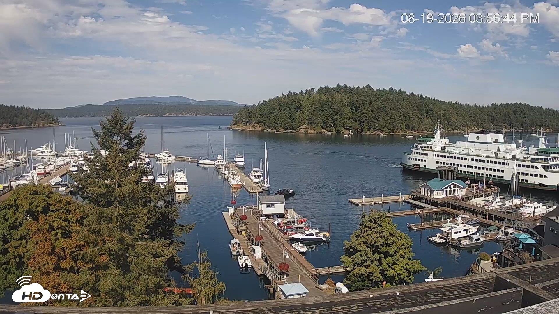 Snapshot of Friday Harbor - San Juan Island Live Webcam taken Aug 19, 2026, 3:57pm PDT