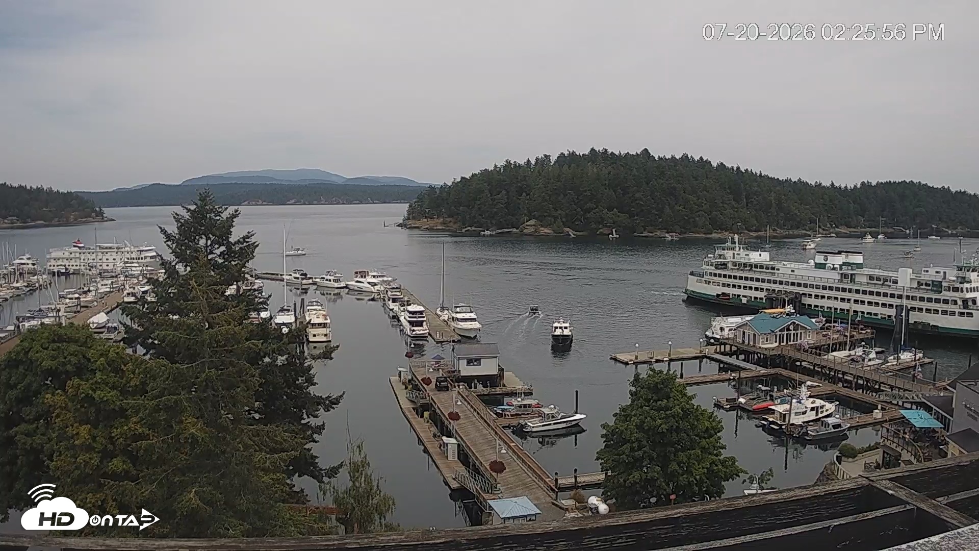 Snapshot of Friday Harbor - San Juan Island Live Webcam taken Jul 20, 2026, 2:26pm PDT