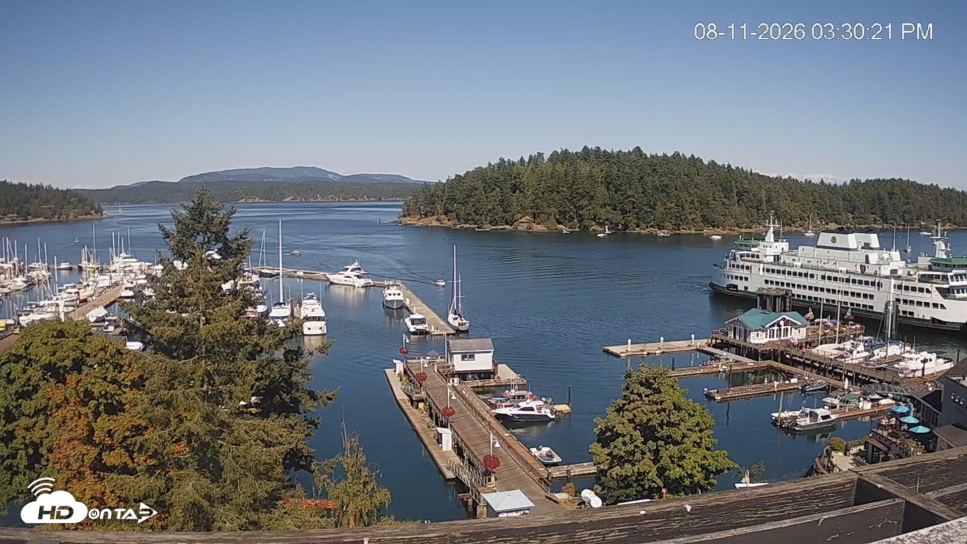 Snapshot of Friday Harbor - San Juan Island Live Webcam taken Aug 11, 2026, 3:31pm PDT