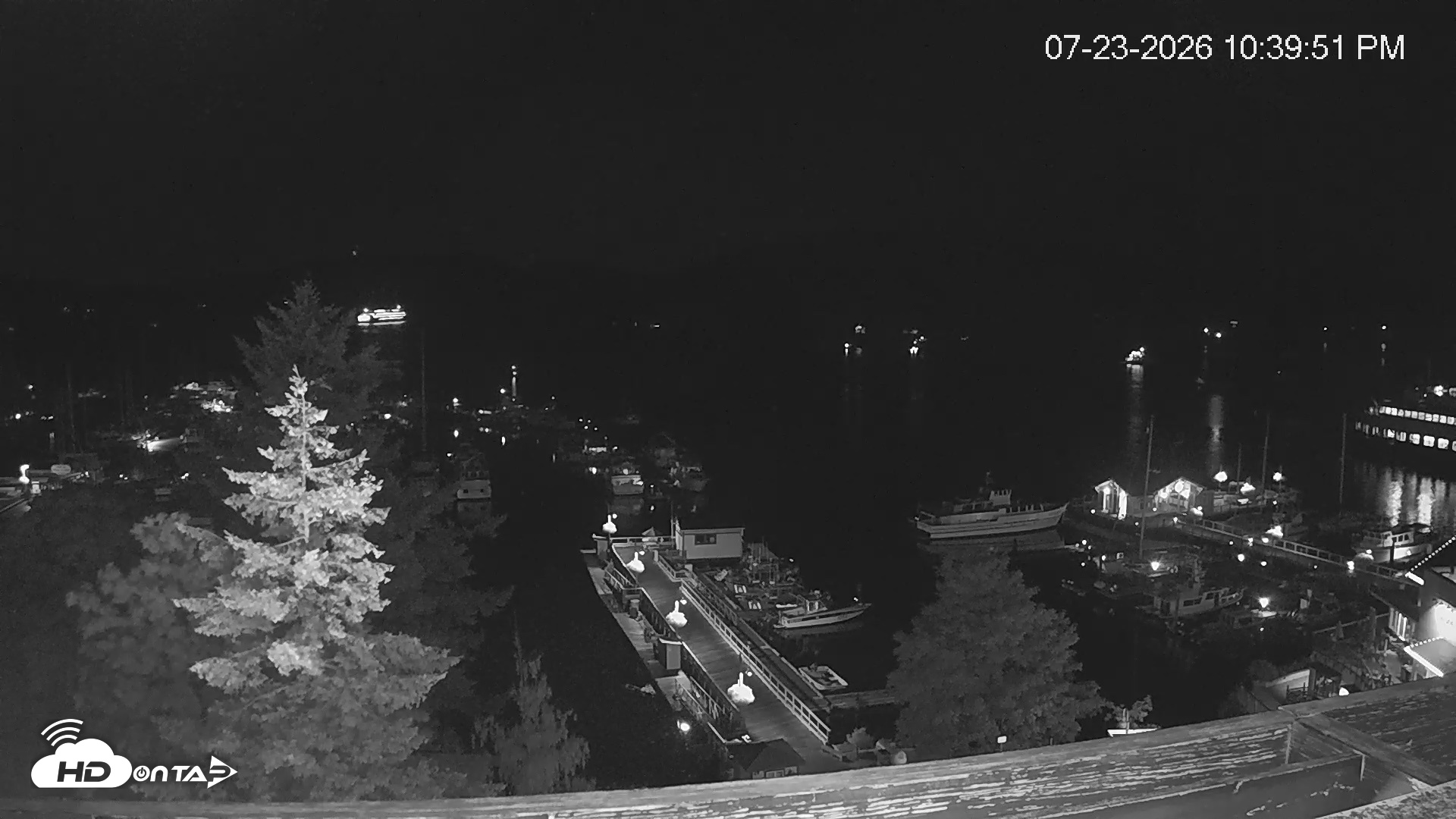 Snapshot of Friday Harbor - San Juan Island Live Webcam taken Jul 23, 2026, 10:41pm PDT