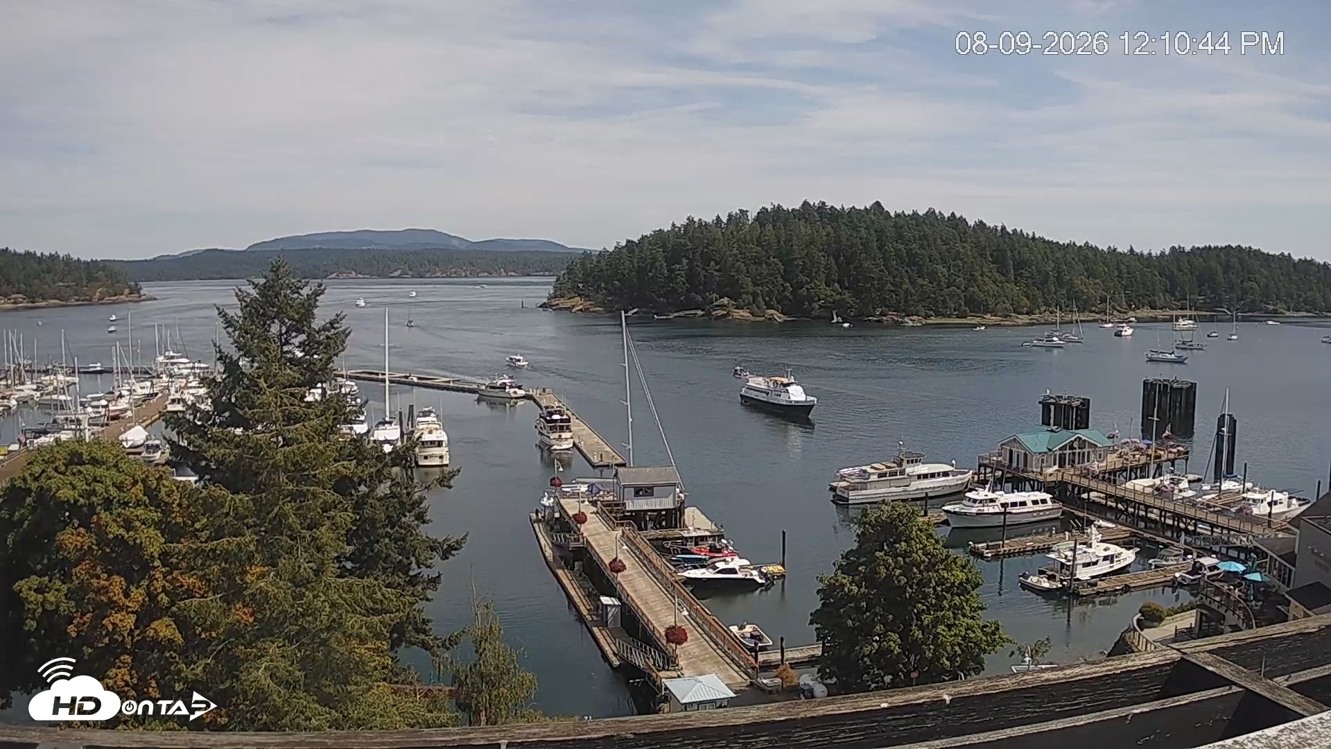 Snapshot of Friday Harbor - San Juan Island Live Webcam taken Aug 9, 2026, 12:11pm PDT