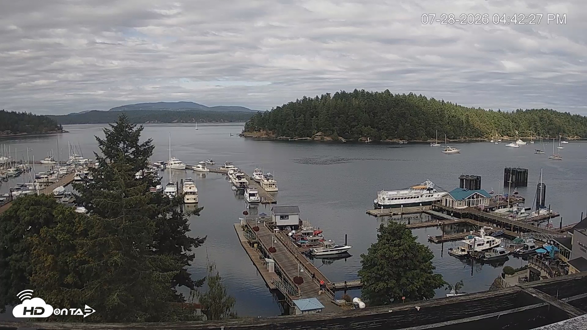 Snapshot of Friday Harbor - San Juan Island Live Webcam taken Jul 28, 2026, 4:43pm PDT
