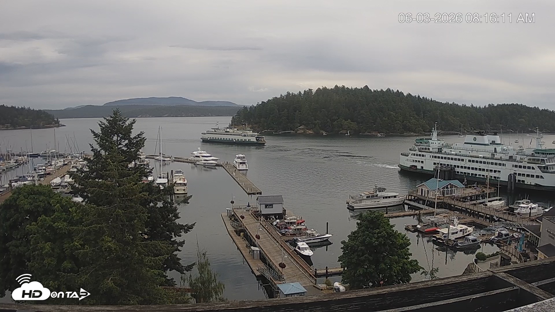 Snapshot of Friday Harbor - San Juan Island Live Webcam taken Jun 3, 2026, 8:16am PDT
