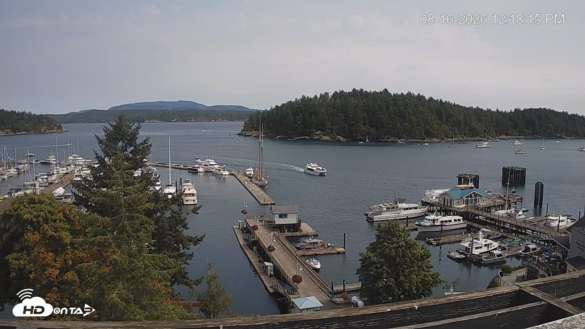 Snapshot of Friday Harbor - San Juan Island Live Webcam taken Aug 16, 2026, 12:18pm PDT