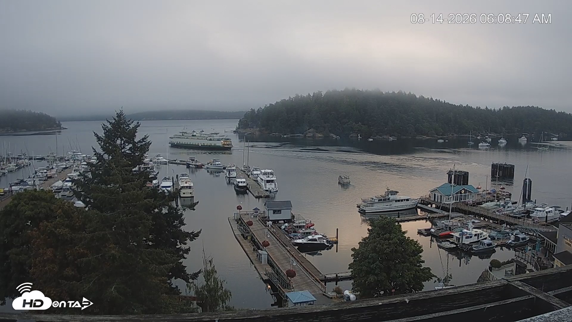 Snapshot of Friday Harbor - San Juan Island Live Webcam taken Aug 14, 2026, 6:09am PDT