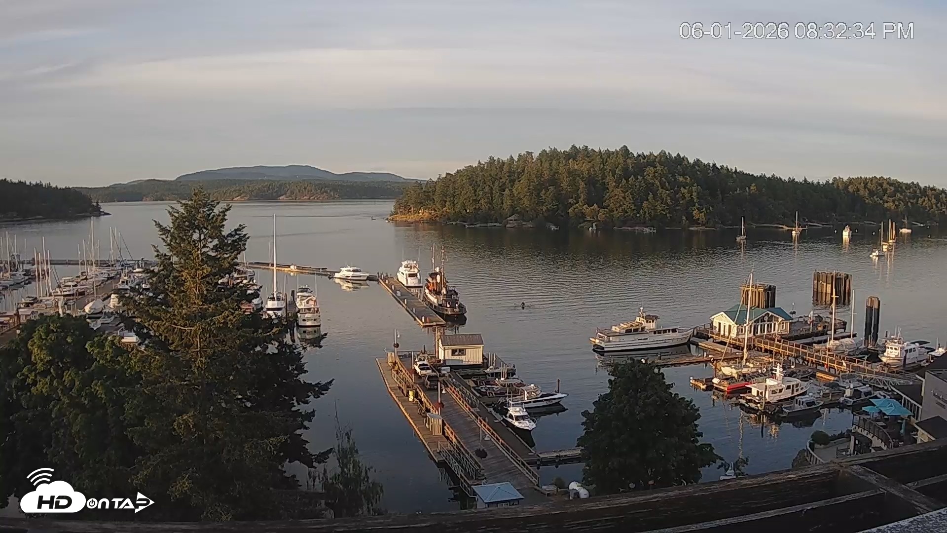 Snapshot of Friday Harbor - San Juan Island Live Webcam taken Jun 1, 2026, 8:33pm PDT