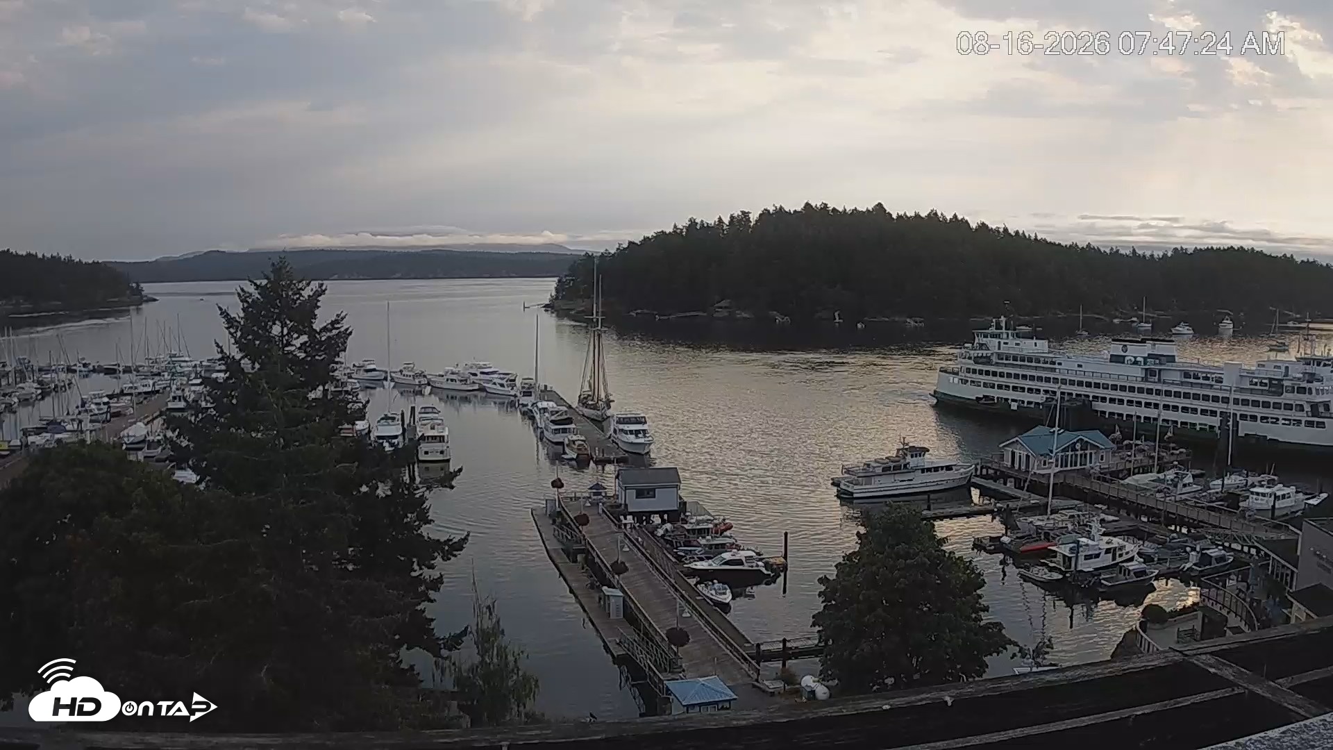 Snapshot of Friday Harbor - San Juan Island Live Webcam taken Aug 16, 2026, 7:48am PDT