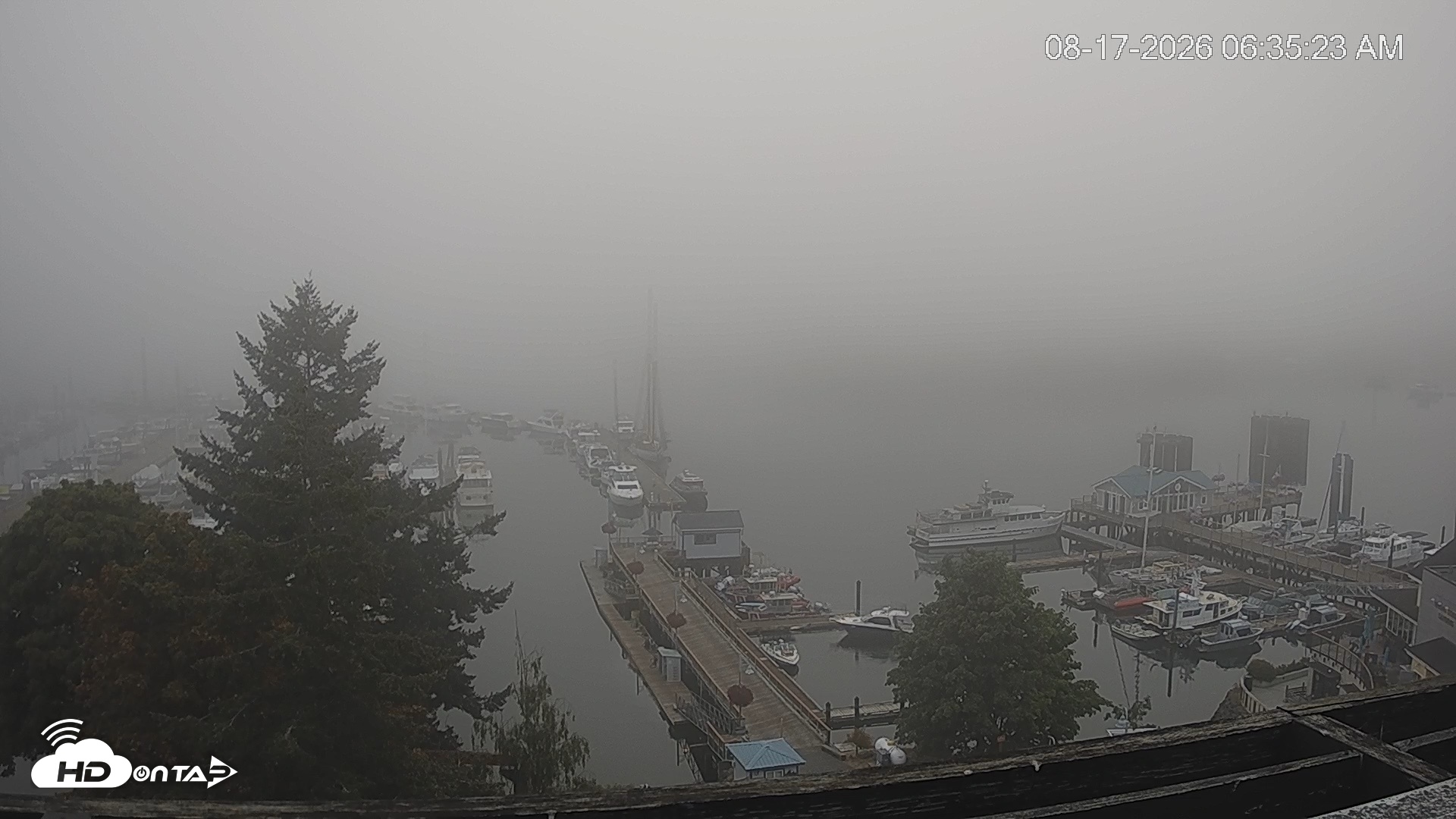 Snapshot of Friday Harbor - San Juan Island Live Webcam taken Aug 17, 2026, 6:36am PDT