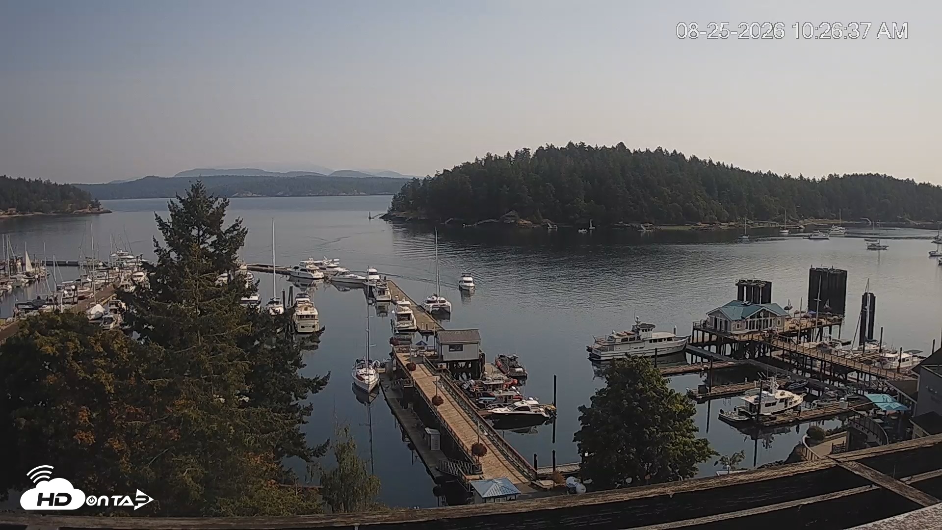 Snapshot of Friday Harbor - San Juan Island Live Webcam taken Aug 25, 2026, 10:27am PDT