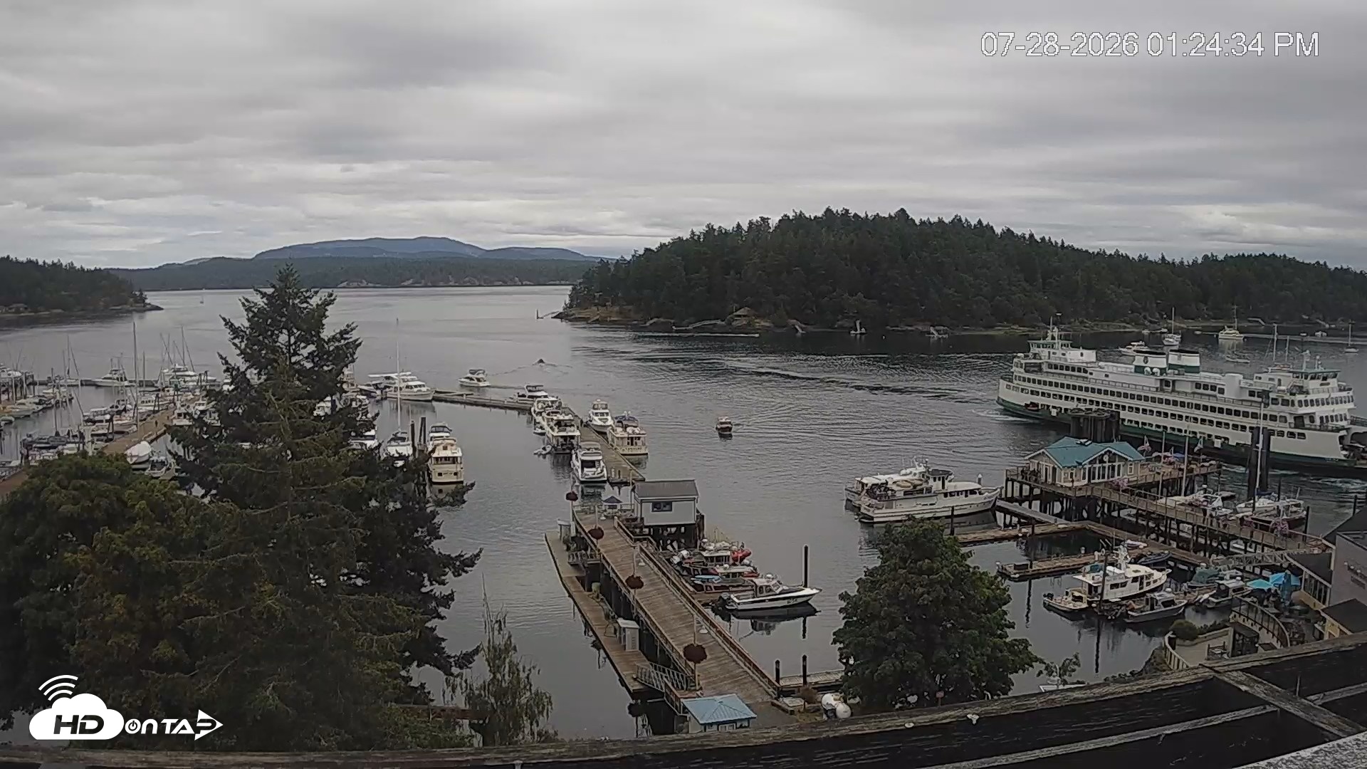 Snapshot of Friday Harbor - San Juan Island Live Webcam taken Jul 28, 2026, 1:25pm PDT