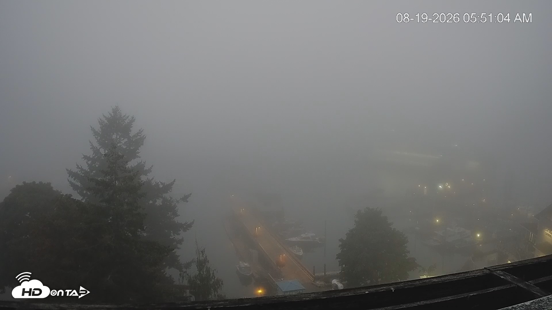 Snapshot of Friday Harbor - San Juan Island Live Webcam taken Aug 19, 2026, 5:52am PDT