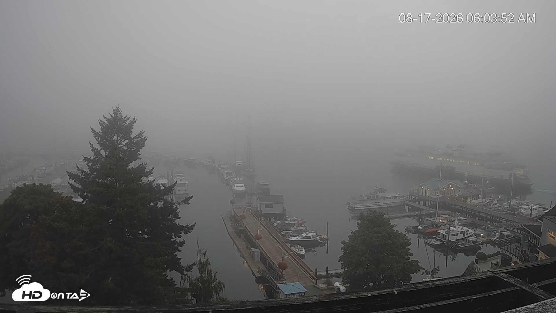 Snapshot of Friday Harbor - San Juan Island Live Webcam taken Aug 17, 2026, 6:04am PDT