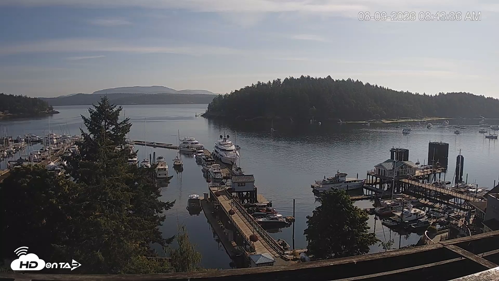 Snapshot of Friday Harbor - San Juan Island Live Webcam taken Aug 9, 2026, 8:44am PDT
