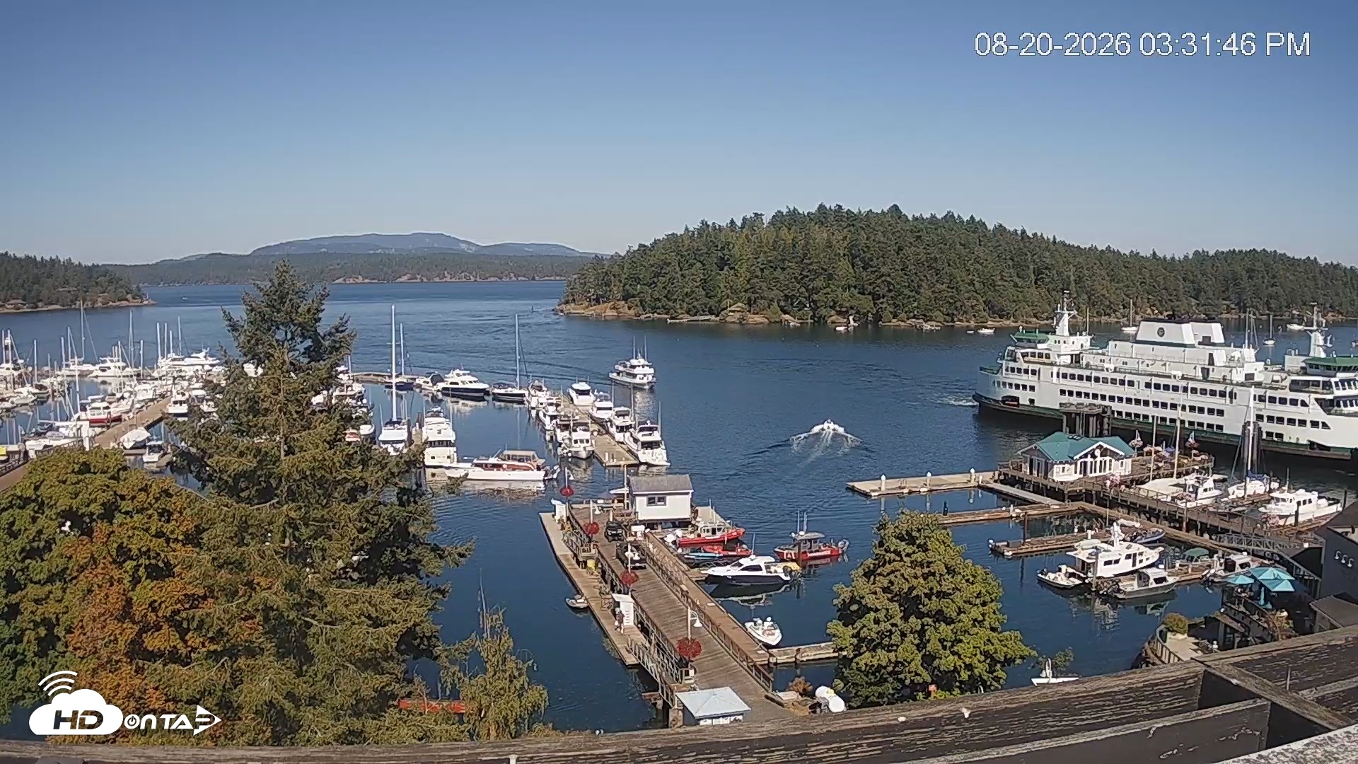 Snapshot of Friday Harbor - San Juan Island Live Webcam taken Aug 20, 2026, 3:32pm PDT