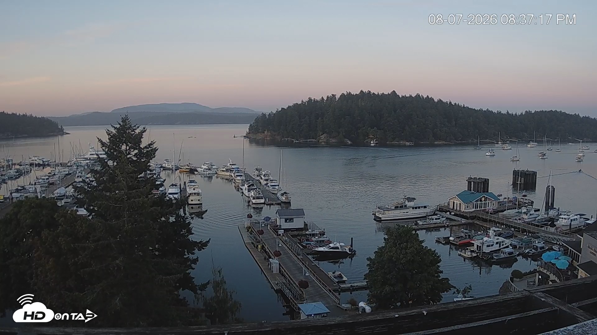 Snapshot of Friday Harbor - San Juan Island Live Webcam taken Aug 7, 2026, 8:38pm PDT