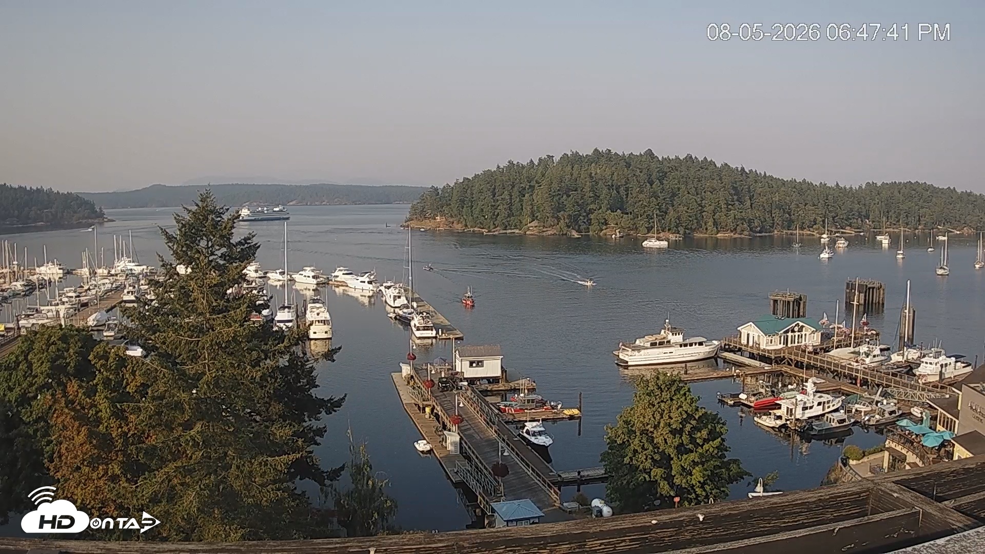 Snapshot of Friday Harbor - San Juan Island Live Webcam taken Aug 5, 2026, 6:48pm PDT