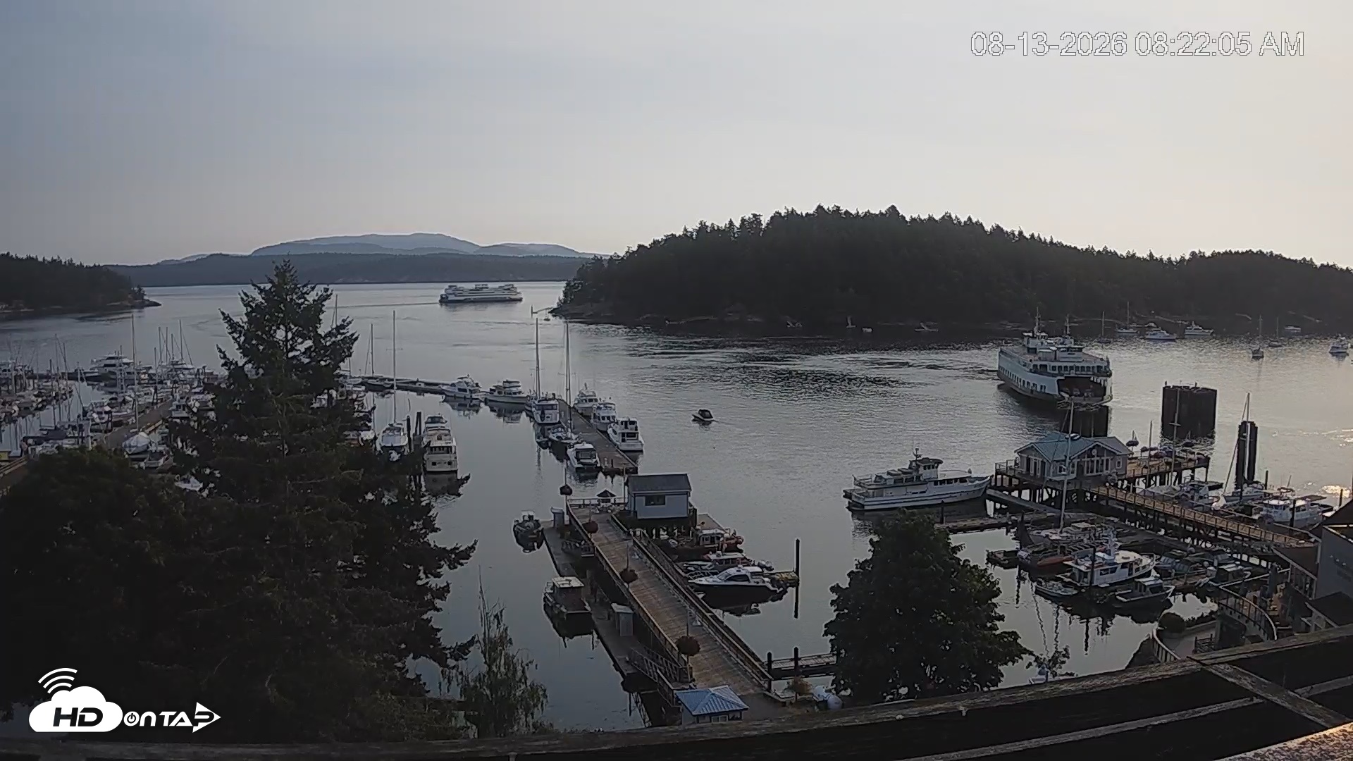 Snapshot of Friday Harbor - San Juan Island Live Webcam taken Aug 13, 2026, 8:22am PDT