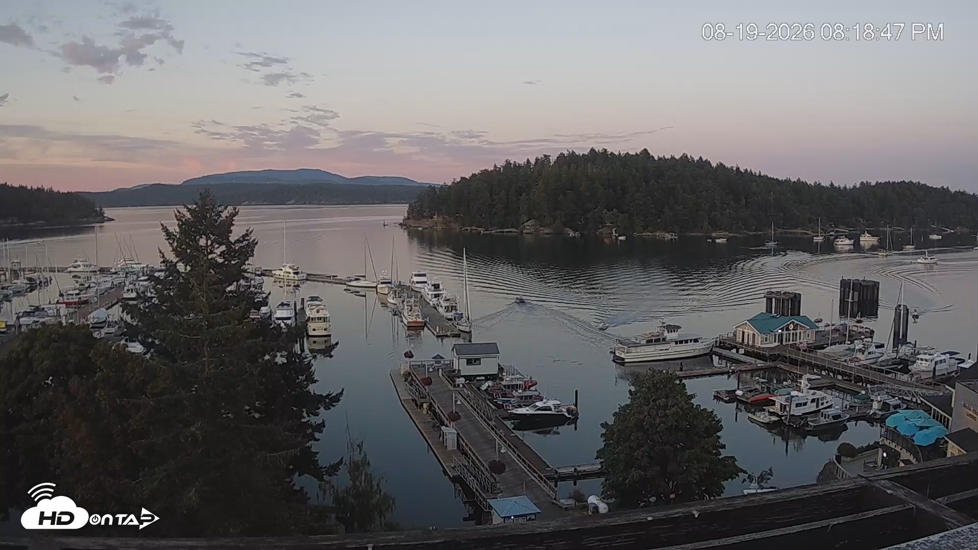Snapshot of Friday Harbor - San Juan Island Live Webcam taken Aug 19, 2026, 8:19pm PDT