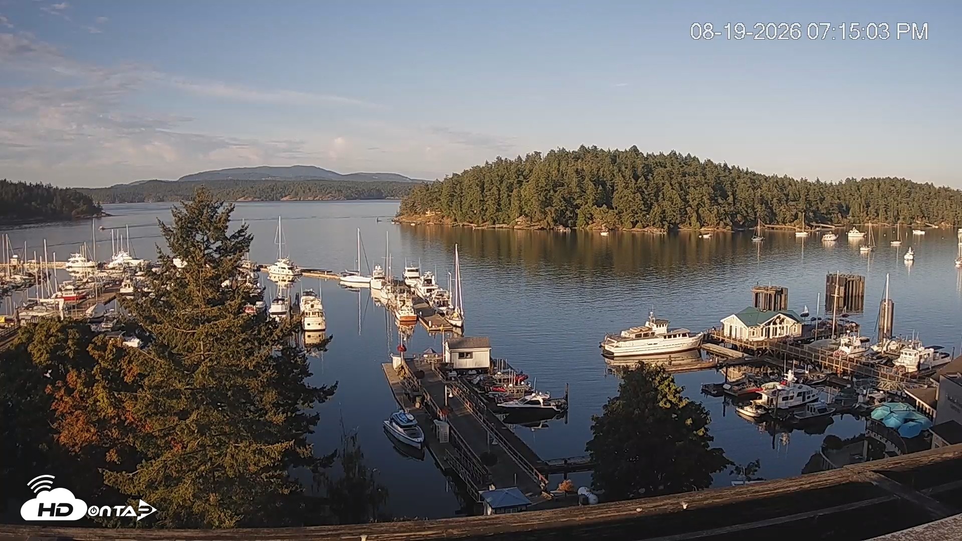 Snapshot of Friday Harbor - San Juan Island Live Webcam taken Aug 19, 2026, 7:15pm PDT