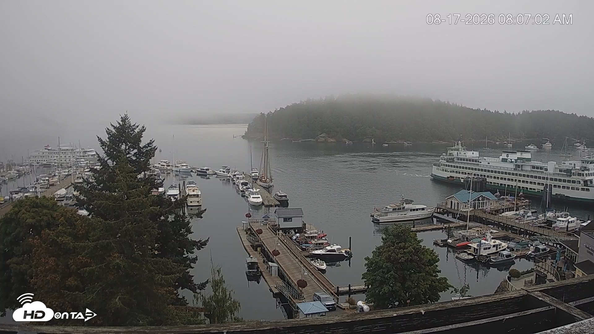 Snapshot of Friday Harbor - San Juan Island Live Webcam taken Aug 17, 2026, 8:07am PDT