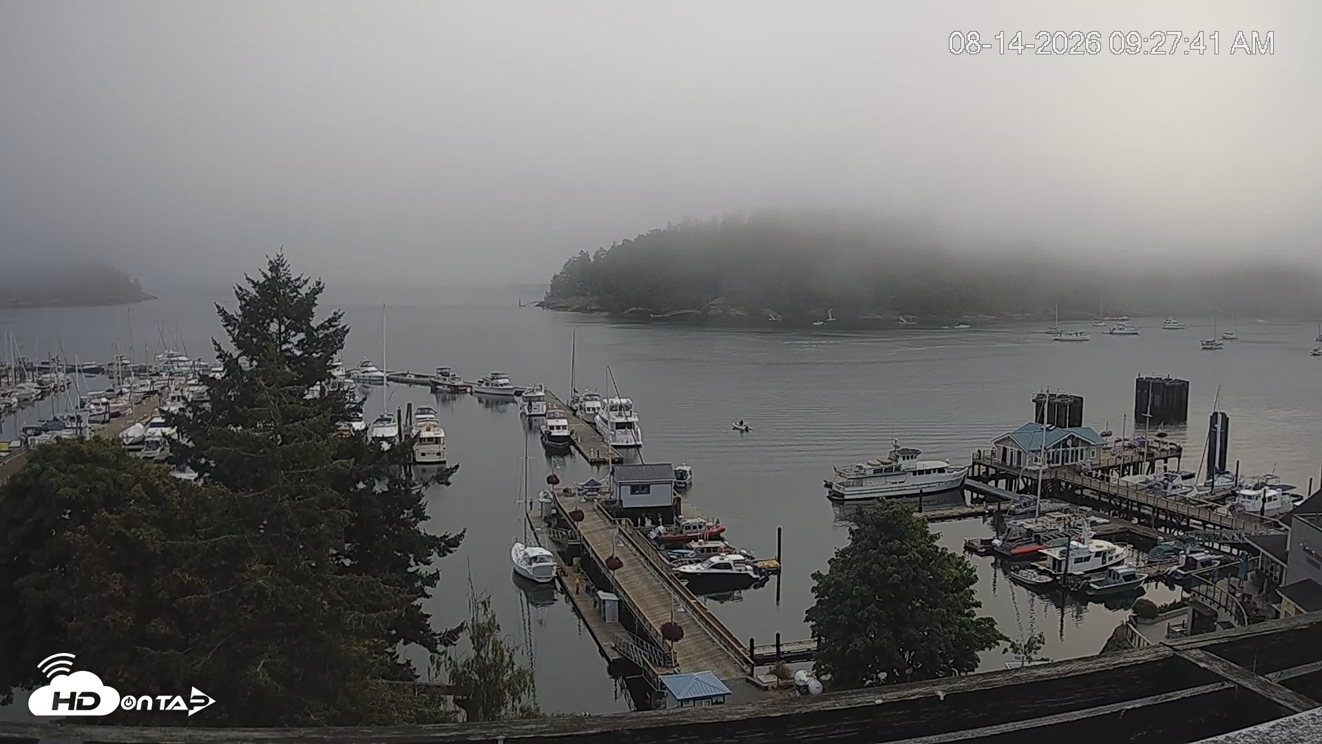 Snapshot of Friday Harbor - San Juan Island Live Webcam taken Aug 14, 2026, 9:28am PDT